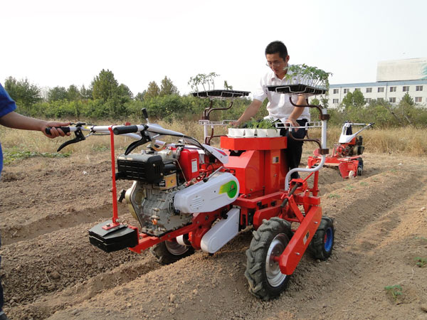 蔬菜種植機